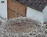 Capi_Dubne_20260801_181004.jpg