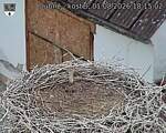 Capi_Dubne_20260801_181502.jpg