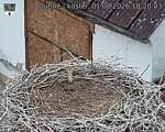 Capi_Dubne_20260801_182003.jpg