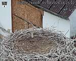 Capi_Dubne_20260801_182502.jpg