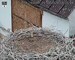 Capi_Dubne_20260801_183504.jpg