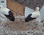 Capi_Dubne_20260801_184003.jpg