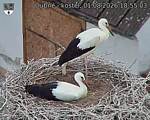 Capi_Dubne_20260801_185503.jpg