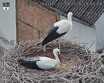 Capi_Dubne_20260801_190504.jpg
