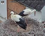 Capi_Dubne_20260801_191503.jpg