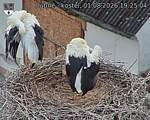 Capi_Dubne_20260801_192504.jpg