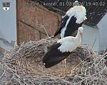 Capi_Dubne_20260801_194002.jpg