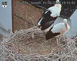 Capi_Dubne_20260801_195503.jpg