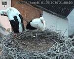 Capi_Dubne_20260801_210003.jpg
