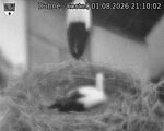 Capi_Dubne_20260801_211002.jpg