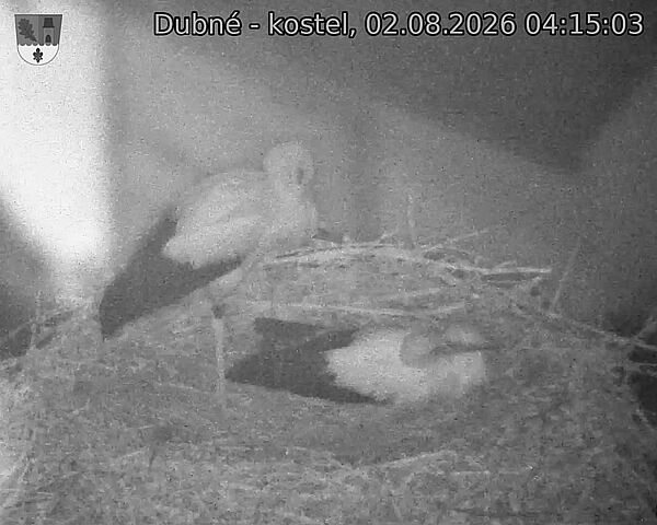 preload