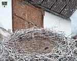 Capi_Dubne_20260802_053502.jpg