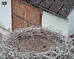 Capi_Dubne_20260802_054003.jpg