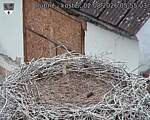 Capi_Dubne_20260802_055503.jpg