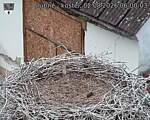 Capi_Dubne_20260802_060003.jpg