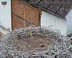 Capi_Dubne_20260802_070504.jpg