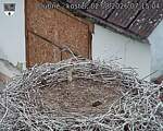 Capi_Dubne_20260802_071504.jpg