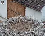 Capi_Dubne_20260802_072003.jpg