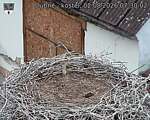 Capi_Dubne_20260802_073002.jpg