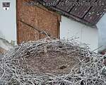Capi_Dubne_20260802_080004.jpg