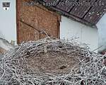 Capi_Dubne_20260802_081004.jpg