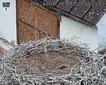 Capi_Dubne_20260802_081503.jpg