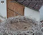Capi_Dubne_20260802_084004.jpg
