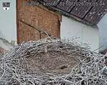 Capi_Dubne_20260802_090504.jpg