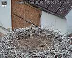 Capi_Dubne_20260802_091504.jpg