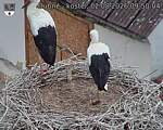 Capi_Dubne_20260802_095004.jpg