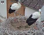 Capi_Dubne_20260802_102504.jpg