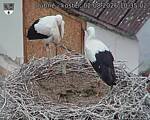 Capi_Dubne_20260802_103502.jpg