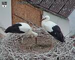 Capi_Dubne_20260802_105003.jpg