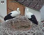 Capi_Dubne_20260802_105503.jpg