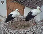 Capi_Dubne_20260802_110002.jpg