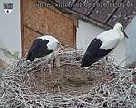 Capi_Dubne_20260802_110504.jpg