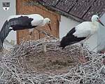 Capi_Dubne_20260802_111003.jpg