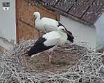 Capi_Dubne_20260802_112004.jpg