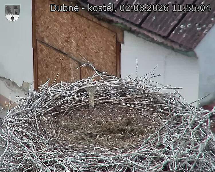preload