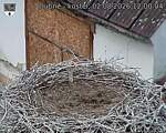 Capi_Dubne_20260802_120004.jpg