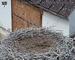 Capi_Dubne_20260802_120504.jpg