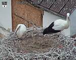 Capi_Dubne_20260802_123504.jpg