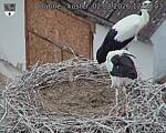 Capi_Dubne_20260802_125503.jpg