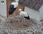 Capi_Dubne_20260802_130003.jpg