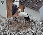 Capi_Dubne_20260802_130503.jpg
