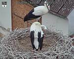 Capi_Dubne_20260802_131504.jpg