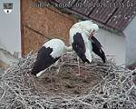 Capi_Dubne_20260802_133504.jpg