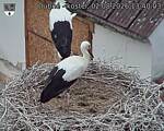 Capi_Dubne_20260802_134003.jpg