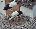 Capi_Dubne_20260802_135002.jpg