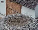 Capi_Dubne_20260802_140003.jpg